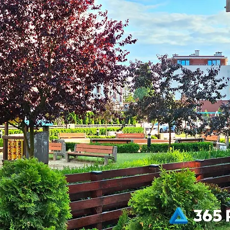 365pam - Safari - Garaż W Cenie * Kołobrzeg